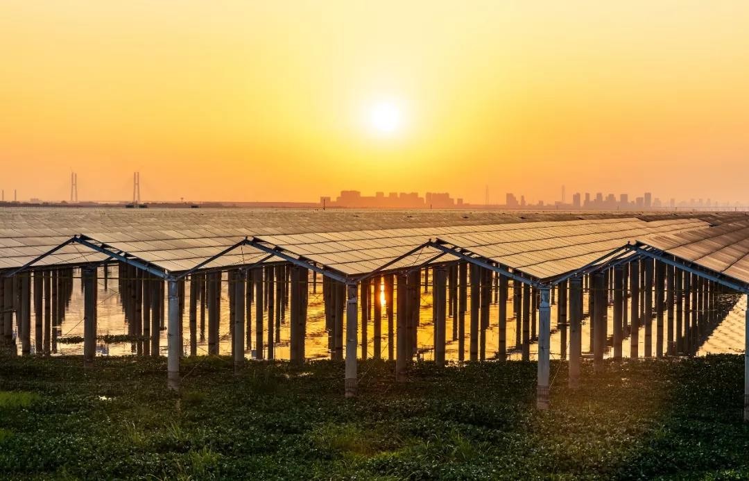 Beyond Success - www.凯发集团k8.com Achieved a Preferred Scale of 1120 MW in Jiangxi